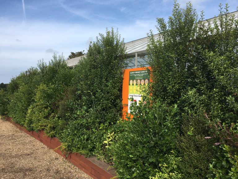 Botanical Sexism Allergy Friendly Plants